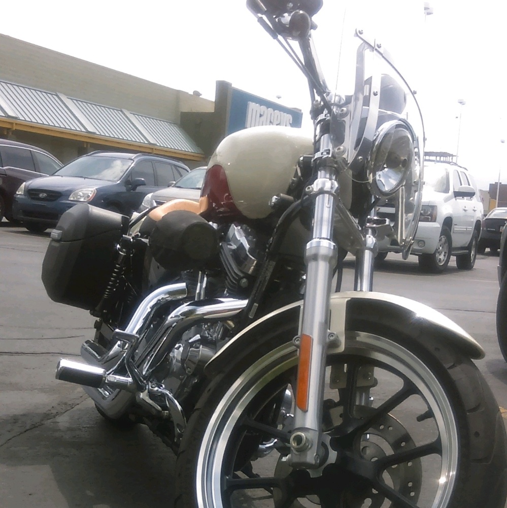 Meet your Posher, Shannon